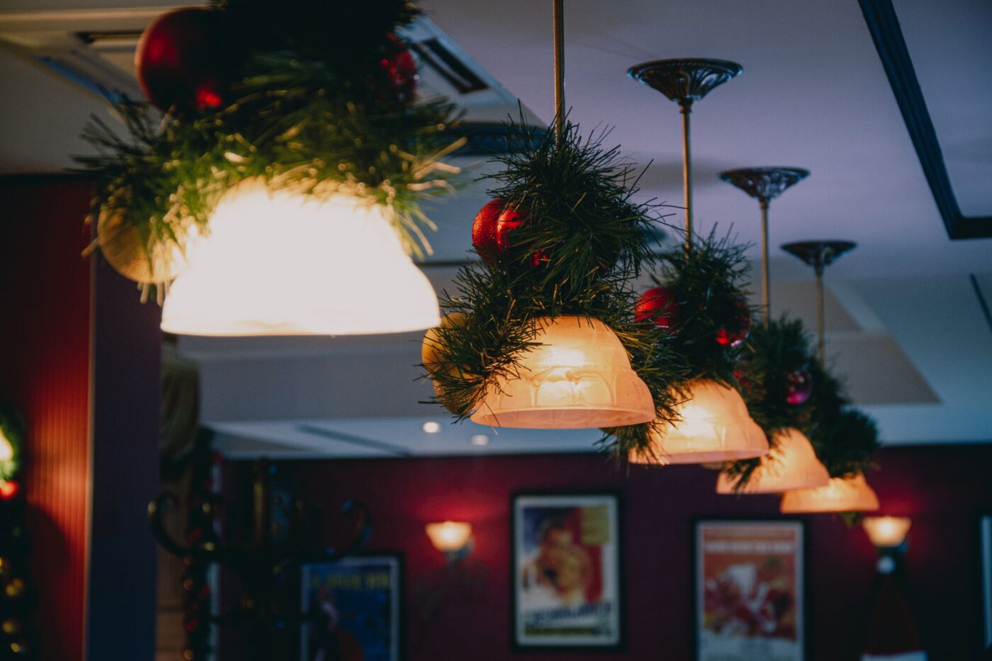 _MG_4414 Ambient - okrasi