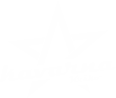 Zvezda logo 3