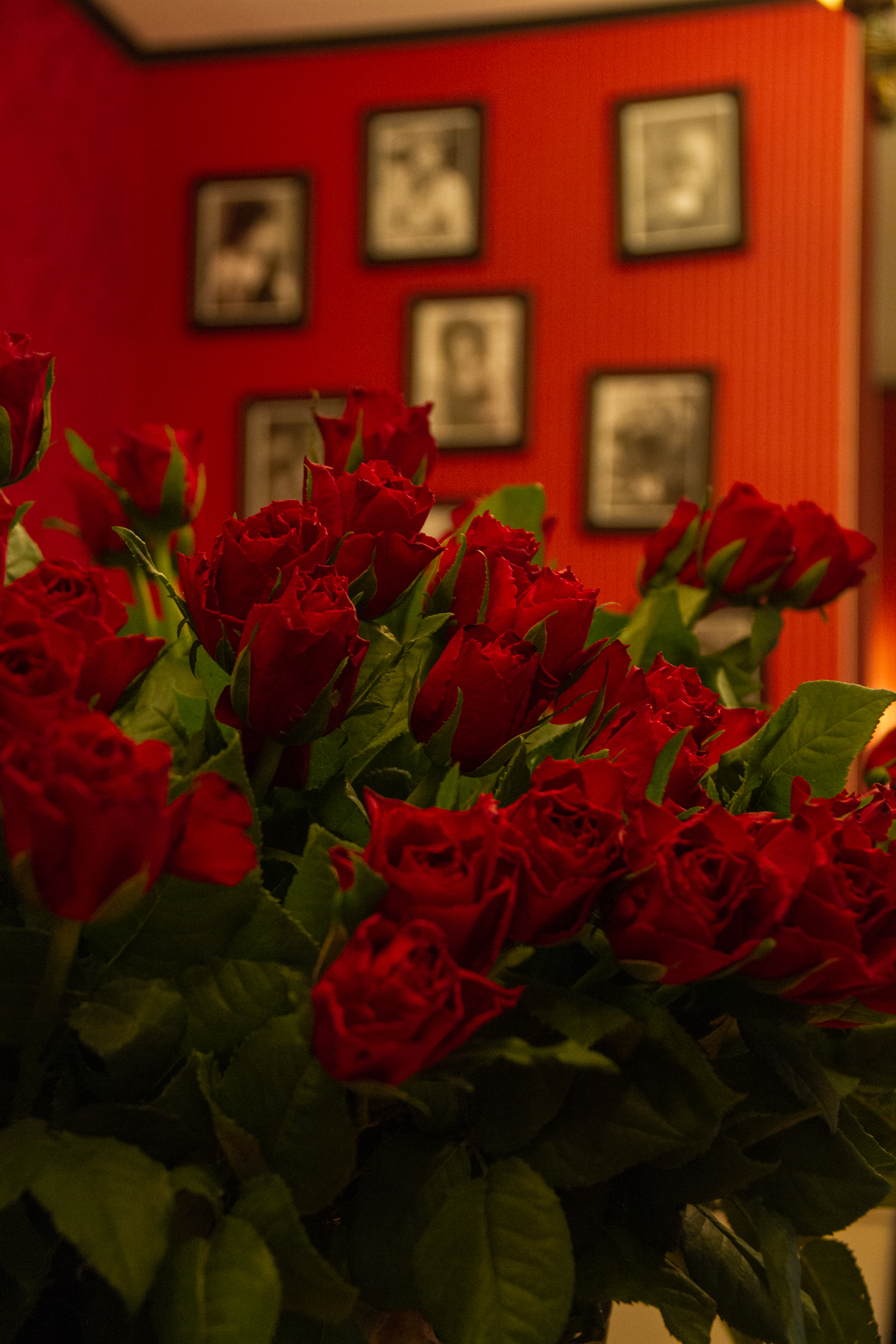 _MG_5405 Ambient - 8. marec